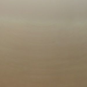 Meet your Posher, Diego